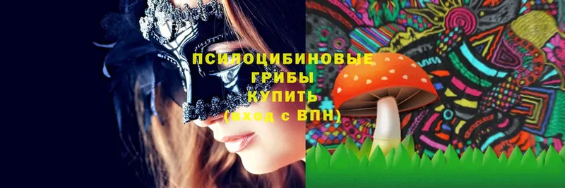 Псилоцибиновые грибы MAGIC MUSHROOMS  купить наркоту  Камышлов 